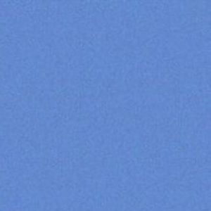 Meet your Posher, Bella